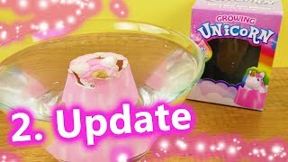 DIY Einhorn schlüpfen lassen