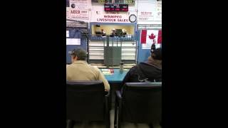 2015 LMAC Auctioneer Competition