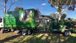 Dangerous Tree Removal Near Power Lines in Cranbourne 🌳 | AXE Tree Services