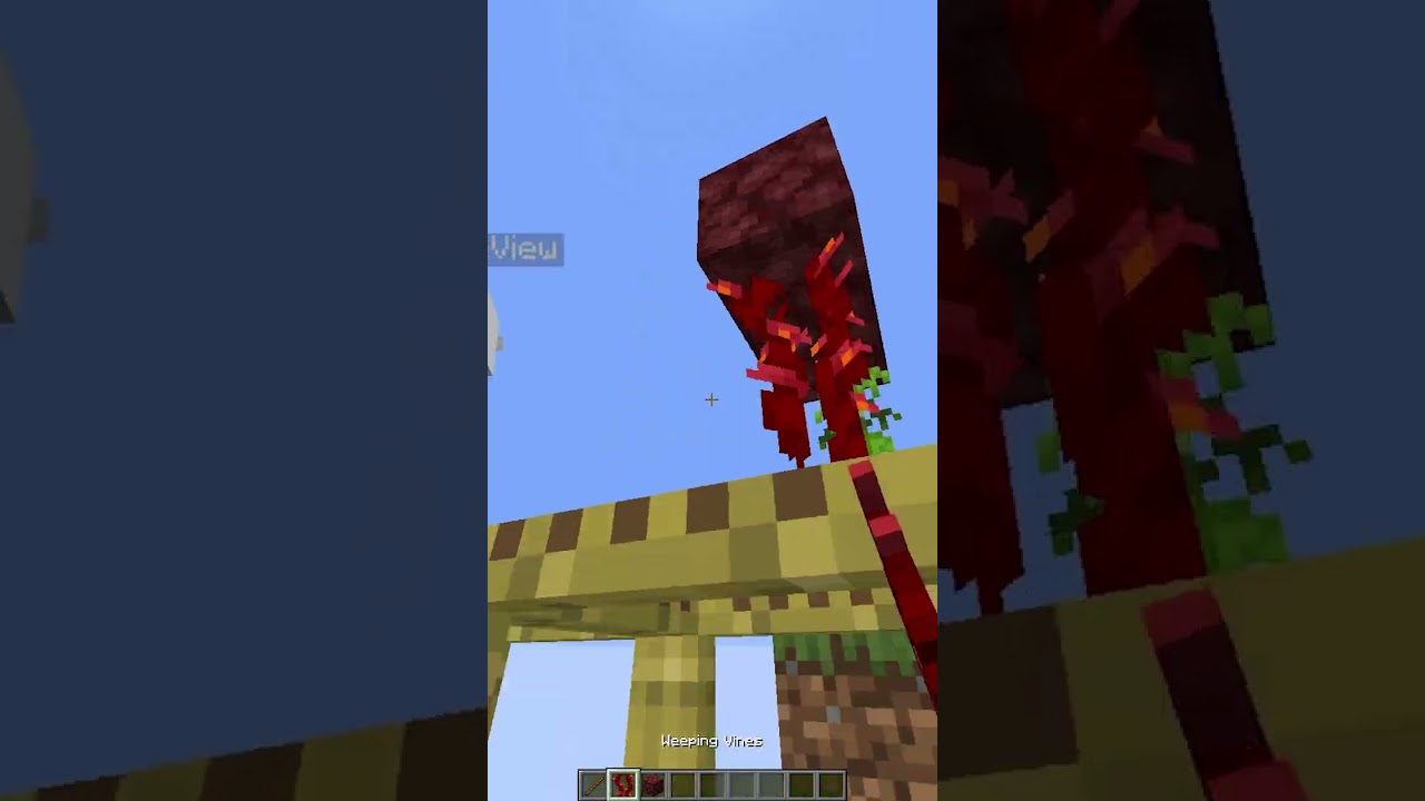 telepatia 29282 #shorts #minecraft