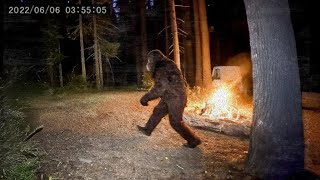 Disturbing Bigfoot Evidence Scientists Can’t Explain