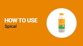 How to use Spical from Koppert