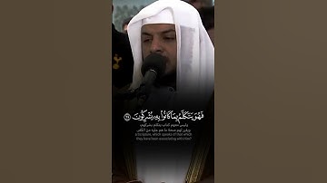 ﴿ وَإِذَا مَسَّ النَّاسَ ضُرٌّ دَعَوْا رَبَّهُمْ ﴾ تلاوة محبّرة خاشعة للشيخ هيثم الدخين 🤍