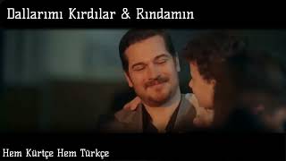 Dallarımı Kırdılar & Rındamın Hem Kürtçe Hem Türkçe Üzik Şrefrüya Şrefrüyadizi