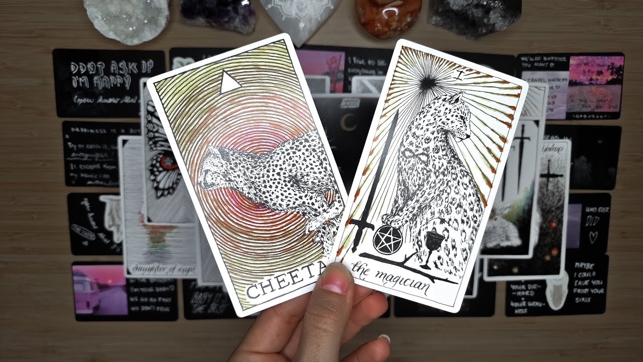 Urgentní zpráva 💌🐆🌄📝 | Vzkaz od osoby ve vašem srdci