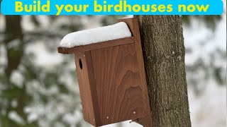 Build your birdhouses in winter 🐦‍⬛