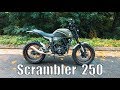 PROMO  Scrambler 250