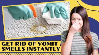 How To Remove Vomit Smell From Carpet Quickly (This Trick Is Fantastic!)
