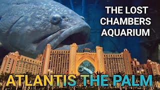 The Lost Chambers Aquarium Full Tour | Atlantis The Palm, Dubai  Tickets & Timing