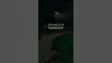 آية الكرسي | #آية_الكرسي #اسلام_صبحي #قرآن #القرآن_الكريم #تلاوة_خاشعة #Quran #Islam #راحة_نفسية