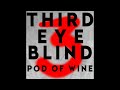 Third Eye Blind || We're gonna' fckn' BURY Third Eye Blind tonight