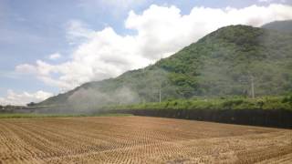 2016/06/26 4667車次_2016仲夏寶島號_CT273_海端