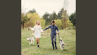 Pet's Journey In Harmony