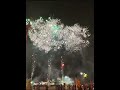 2026年5月19日