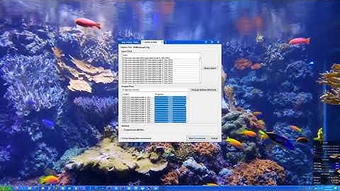 Project IE 4k / Near Infinity Improvement