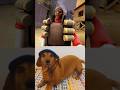 Demoman get scared of dog [SFM] #shorts #edit #tf2 #memes #tf2shorts #shortvideo #tf2memes
