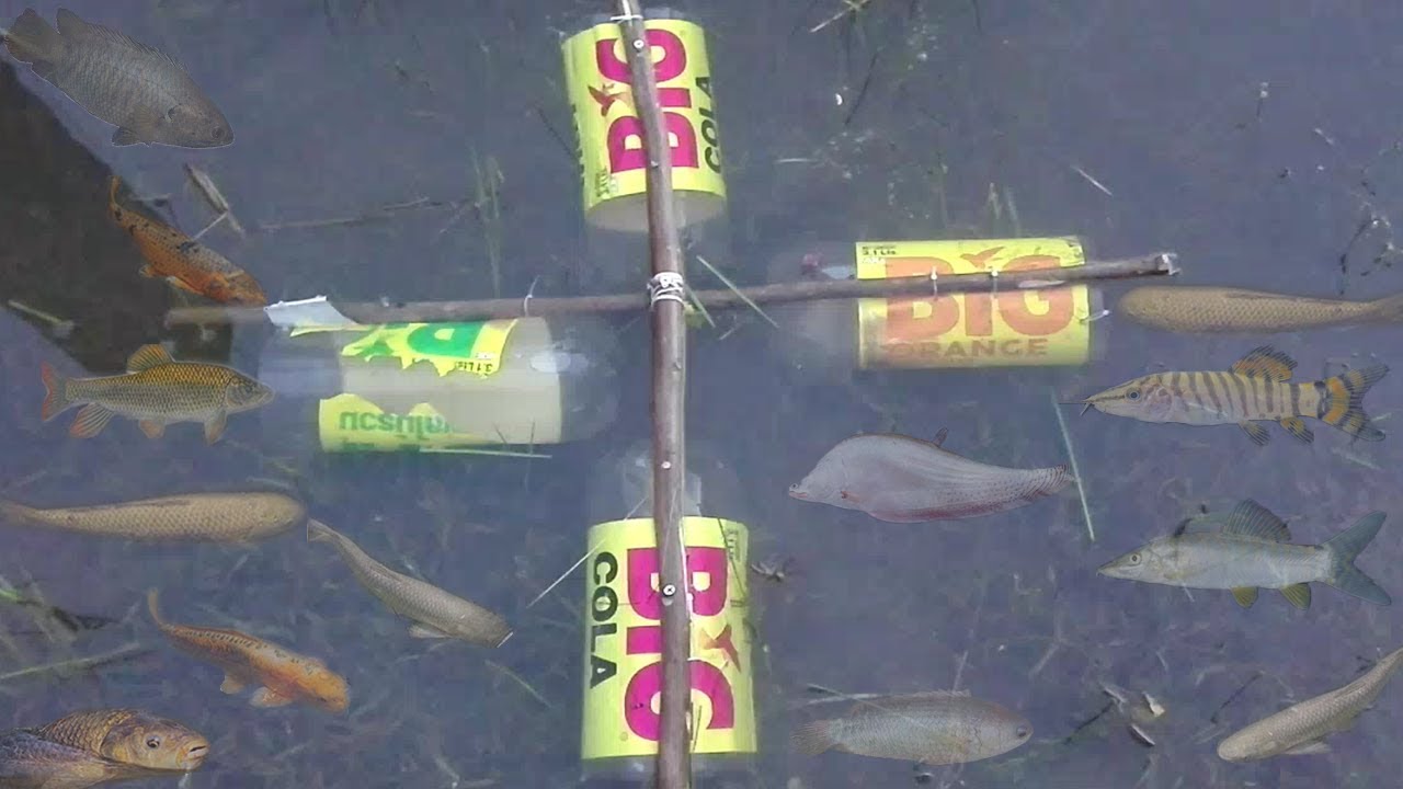 Awesome! Smart Boy Creative Fish Trap Using BIG Coca Cola Plastic Bottle To Catch A Lot of Fish