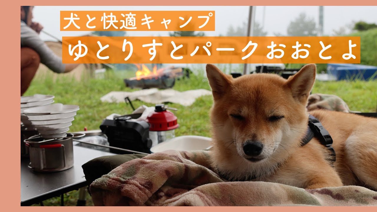 【犬連れキャンプ】ゆとりすとパークおおとよオートキャンプ場（高知県）