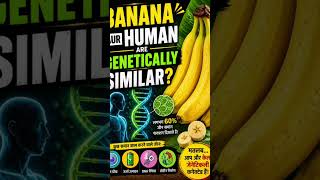 human genes similar as banana genes!!