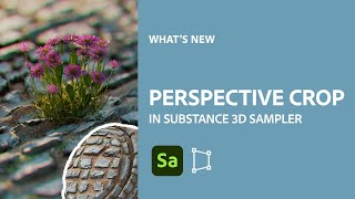 Perspective Crop in Sampler (+ a bit of Cinema 4D)