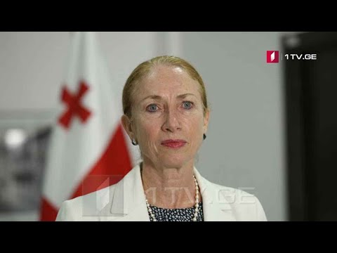 კელი დეგნანის განცხადება - პოლიტიკური შეფასებები