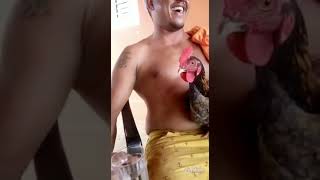 Blague sur poule Alcolo !!