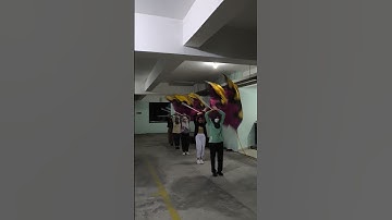 Basic flag again #cg #marching #kpop #drumband #drumcorps #fyp #fypシ゚ #colorguard #basic