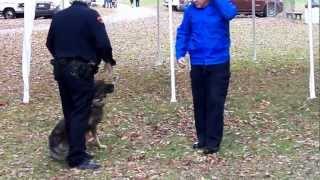 K-9 Demonstration