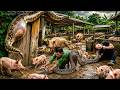 72 Hours Of Terror: Facing A Giant Python Invading The Pig Farm — Moments Of Extreme Tension
