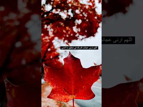 ستوريات الحياة عبارات جميلة مع موسيقى حزينه هادئة حالات واتساب خواطر حزينة