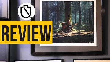 Cook & Becker The Last Of Us Part II Ellie Duality Day Art Print Review