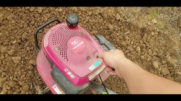 Cắt Tỉa Cành Táo, Chăm Sóc Mầm Táo Thế Nào l Núi Đồi Lục Ngạn