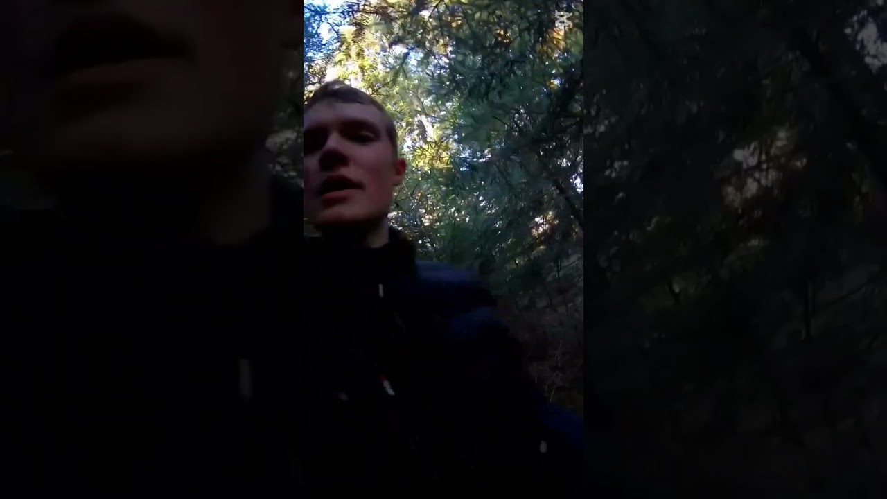 Straight Line Mission durch Wald und Berge.