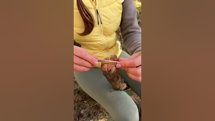 The GIRL knows how to do it 🔥#camping #survival #bushcraft #outdoors #marusya #shiklina