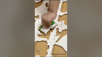Alphabet animals peg board from Unnati library