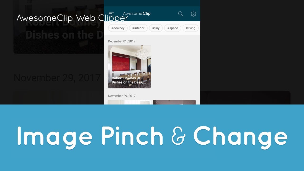 AwesomeClip Web Clipper _ [ Image Pinch & change ]
