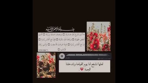 سورة الانشراح 🌿الشيخ سعد الغامدي 🌸 حالات واتس دينية 💕