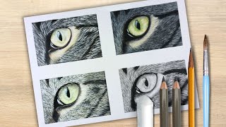 Katzenauge In Vier Techniken - Gouache, Pastellkreide, Buntstift Und Bleistift