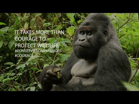 It takes more than courage to be a ranger