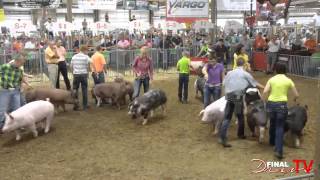 2012 Ohio State Fair Barrow Show Final Drive