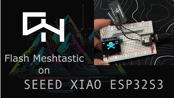 Darknet-NG 14 Level 2 Badge