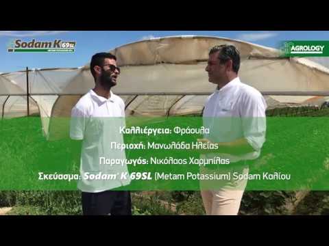 Βίντεο: Φυτά Κάστορα: Πληροφορίες για την Ασφαλή Καλλιέργεια Καστορίνων