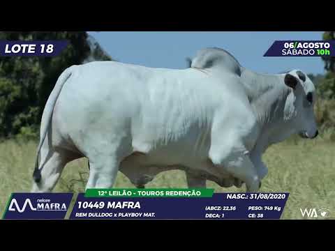 LOTE 18 MFRA 10449