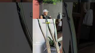 Reaccionando a gente que usa mi canción #makinon #reacciones #rkt #trend #victorionaim #humor