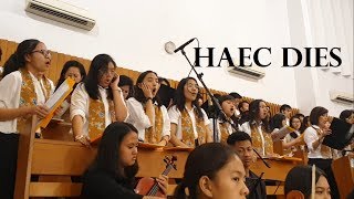 Haec Dies ~ PS 520 ~ Orkestra OMK bersama Koor Lingkungan di Gereja Santo Ambrosius