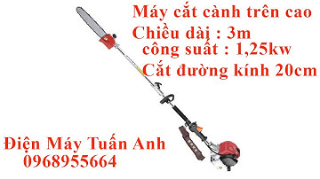 Máy cưa cành trên cao chiều dài 3m không tính người cầm