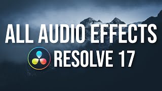Guide to EVERY Audio Effect in DaVinci Resolve 17 Fairlight