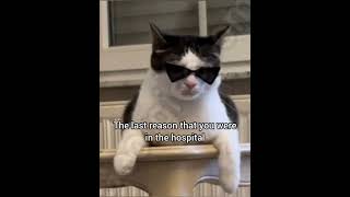 What Is Your Rap Name