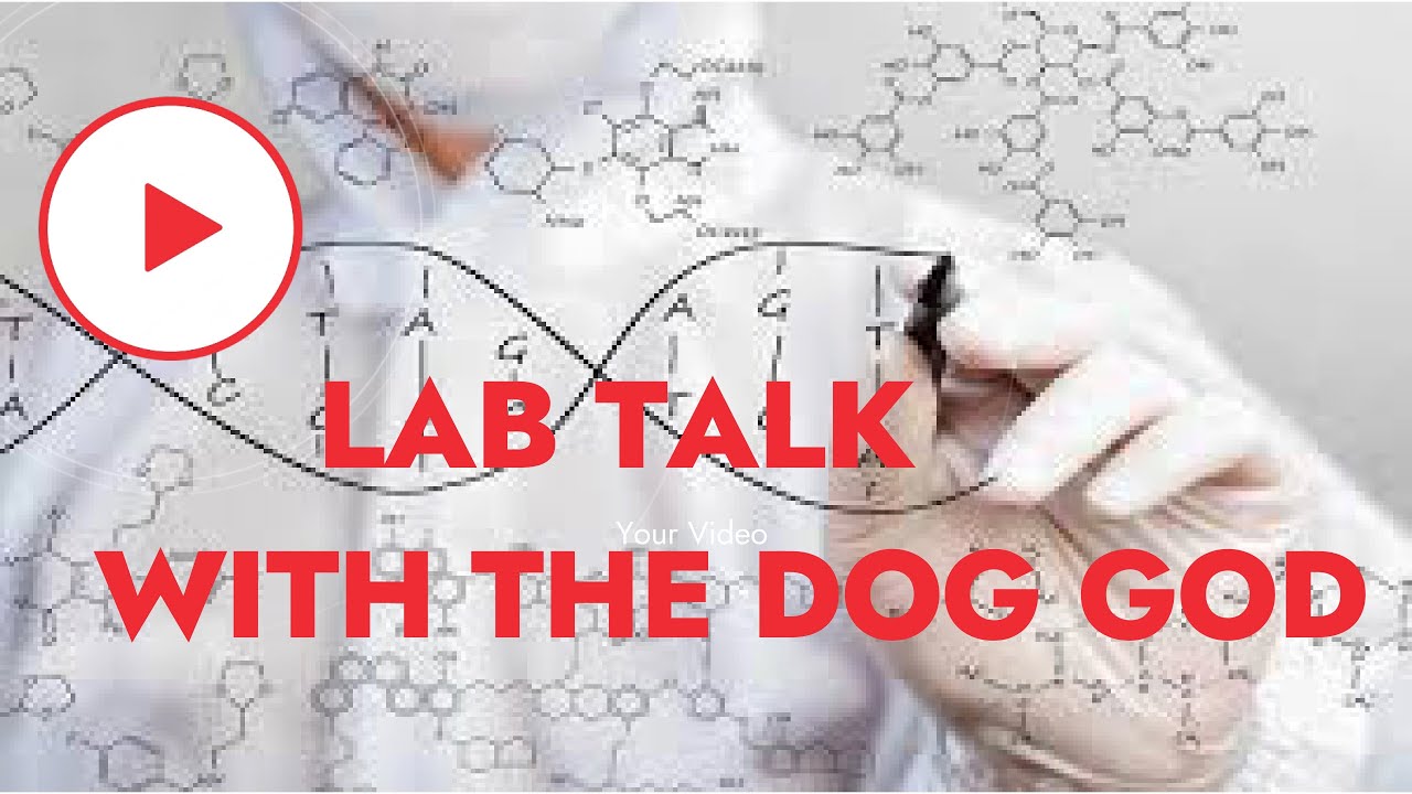 (GENETIC LOTTERY) WHAT DOSE IT MEAN AND HOW IT APPLIES TO COMPETITION DOG BREEDING (HOLIDAY SPECIAL📱