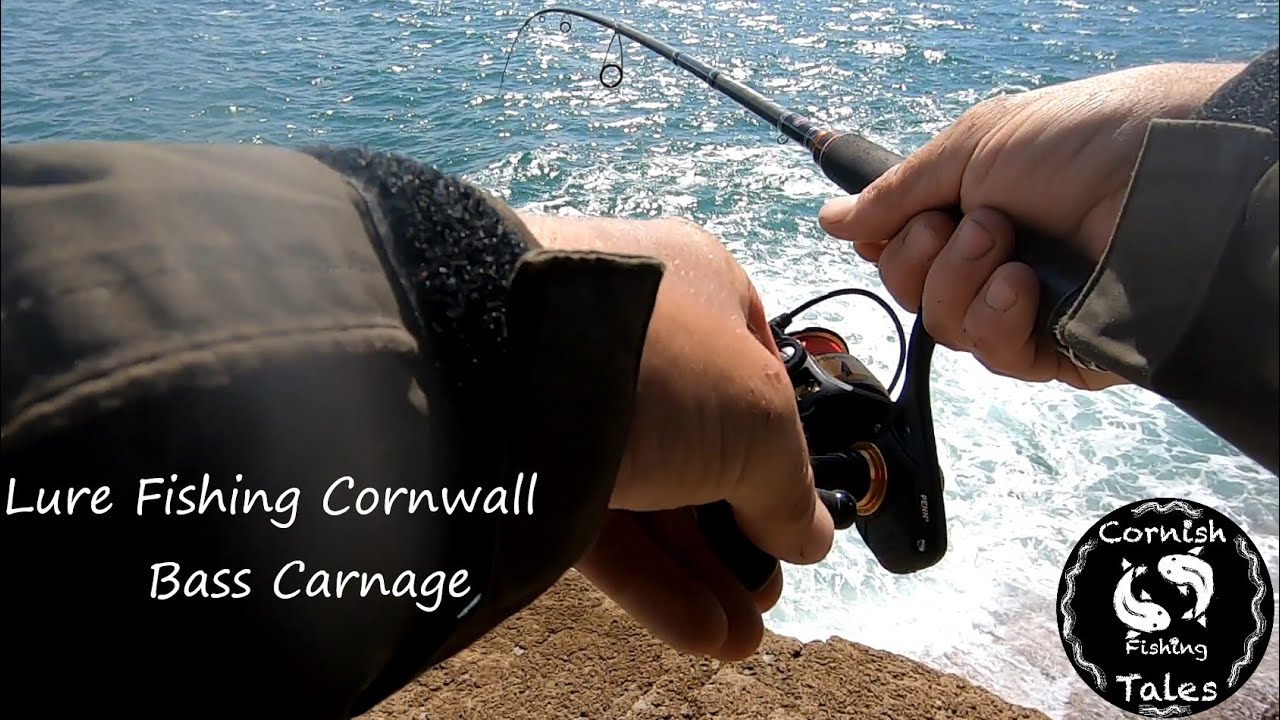 Lure Fishing Cornwall Bass Carnage Can I Land One Of These Monsters
